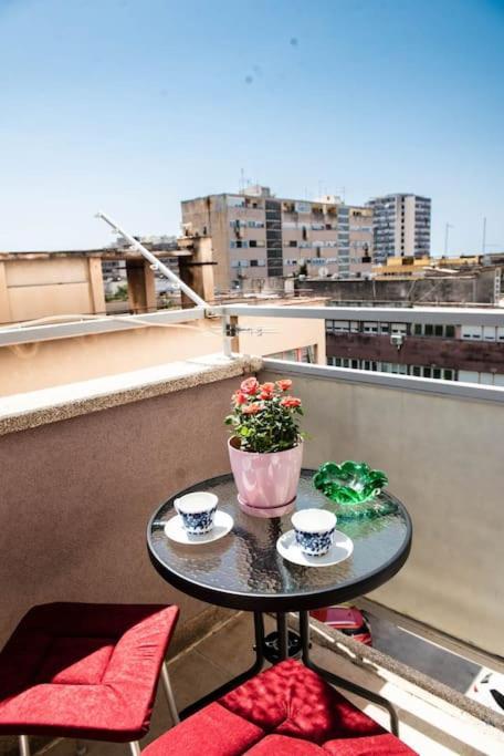Pearl Of Sibenik Apartment エクステリア 写真