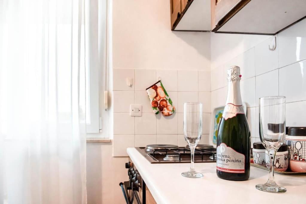 Pearl Of Sibenik Apartment エクステリア 写真